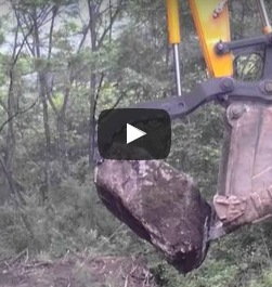 10급 독수리발톱 동영상