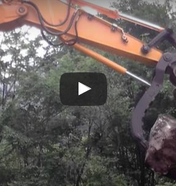 06급 독수리발톱 동영상